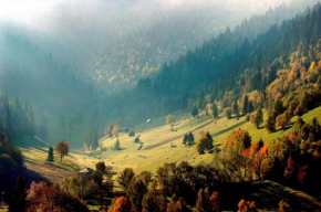Ghimes Panorama